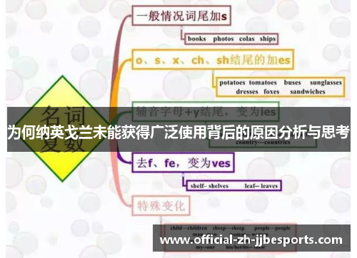 为何纳英戈兰未能获得广泛使用背后的原因分析与思考