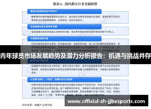 青年球员市场发展趋势及潜力分析报告：机遇与挑战并存